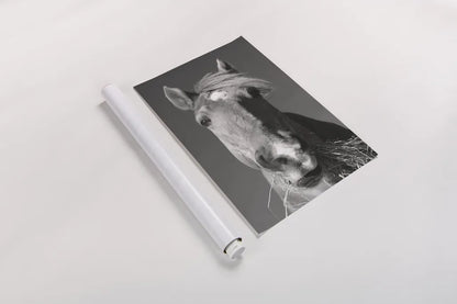 Feeding Time v2 by Sue Schlabach. shown as a rolled paper print. Available as archival giclee rolled canvas, fine art paper, or poster print. SKU 58272h.