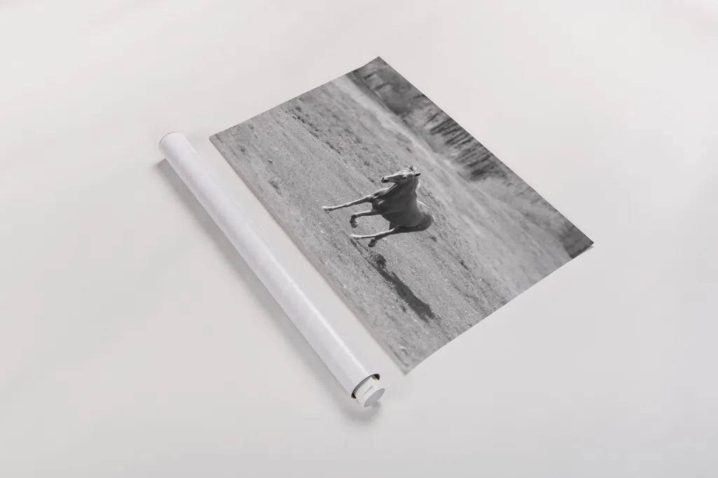 Field Day by Sue Schlabach. shown as a rolled paper print. Available as archival giclee rolled canvas, fine art paper, or poster print. SKU 58273i.