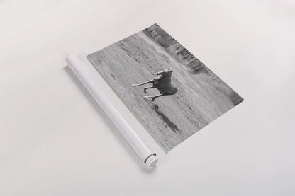 Field Day by Sue Schlabach. shown as a rolled paper print. Available as archival giclee rolled canvas, fine art paper, or poster print. SKU 58273i.