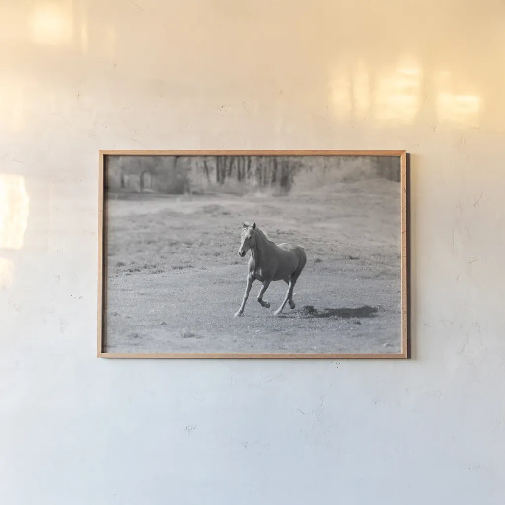 Field Day by Sue Schlabach. shown as a paper print in a natural frame. Available as a archival giclee rolled canvas, fine art paper, or poster print. SKU 58273i.
