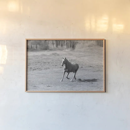 Field Day by Sue Schlabach. shown as a paper print in a natural frame. Available as a archival giclee rolled canvas, fine art paper, or poster print. SKU 58273i.