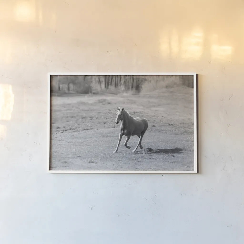Field Day by Sue Schlabach. shown as a paper print in a white frame. Available as a archival giclee rolled canvas, fine art paper, or poster print. SKU 58273i.