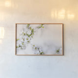 First White of Spring by Sue Schlabach. shown as a paper print in a natural frame. Available as a archival giclee rolled canvas, fine art paper, or poster print. SKU 71790i.