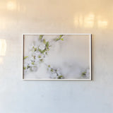First White of Spring by Sue Schlabach. shown as a paper print in a white frame. Available as a archival giclee rolled canvas, fine art paper, or poster print. SKU 71790i.