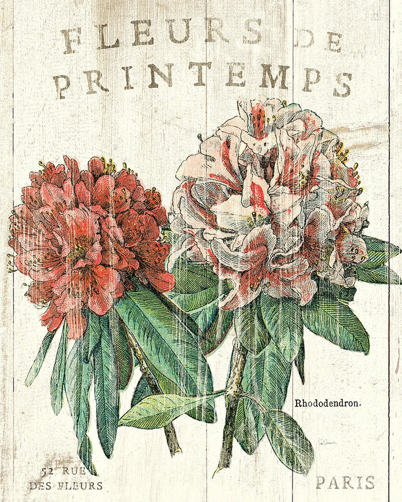 Fleur de Printemps by Sue Schlabach
