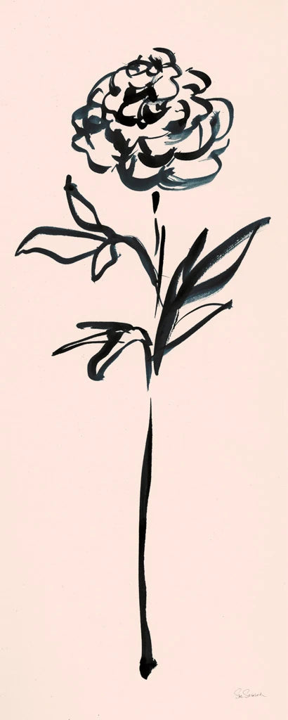 Floral Line II on Pink by Sue Schlabach