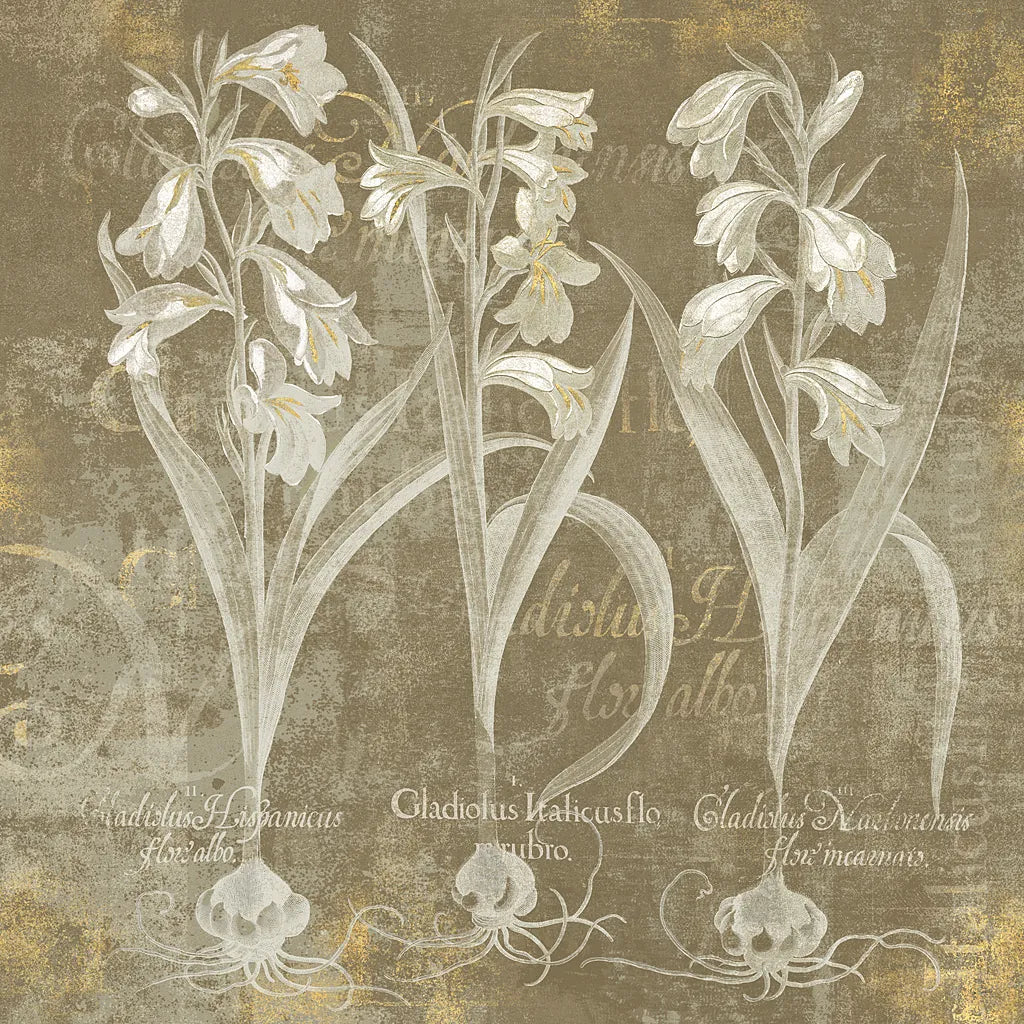 Flower Lines I by Sue Schlabach. SKU 18974a. Archival Giclee Fine art print for wall decor.