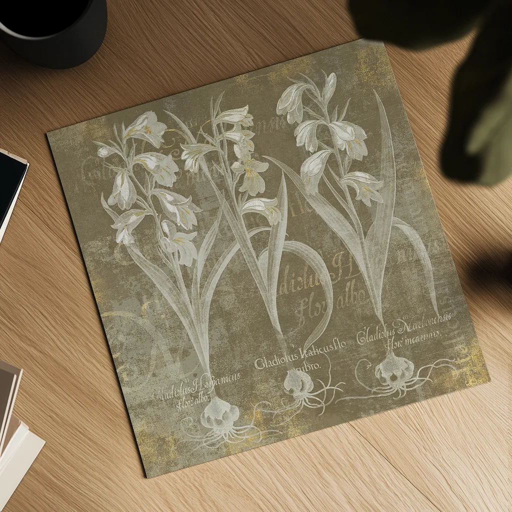 Flower Lines I by Sue Schlabach. Shown as a detailed flat fine art print, highlighting archival giclee quality. Available as an archival giclee rolled canvas, fine art paper, or poster print. SKU 18974a.