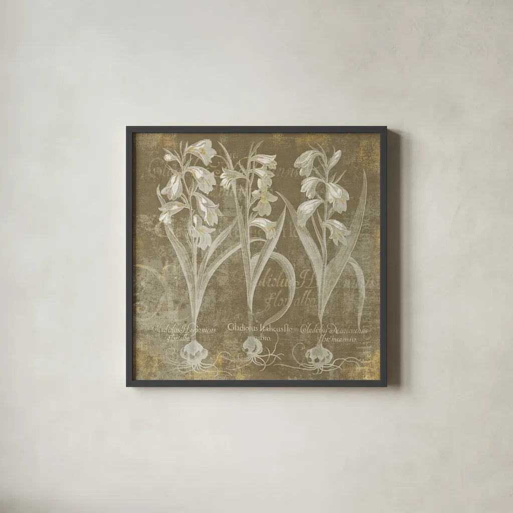 Flower Lines I by Sue Schlabach. Shown in a sleek black glass frame for a contemporary gallery look. Available as an archival giclee rolled canvas, fine art paper, or poster print. SKU 18974a.