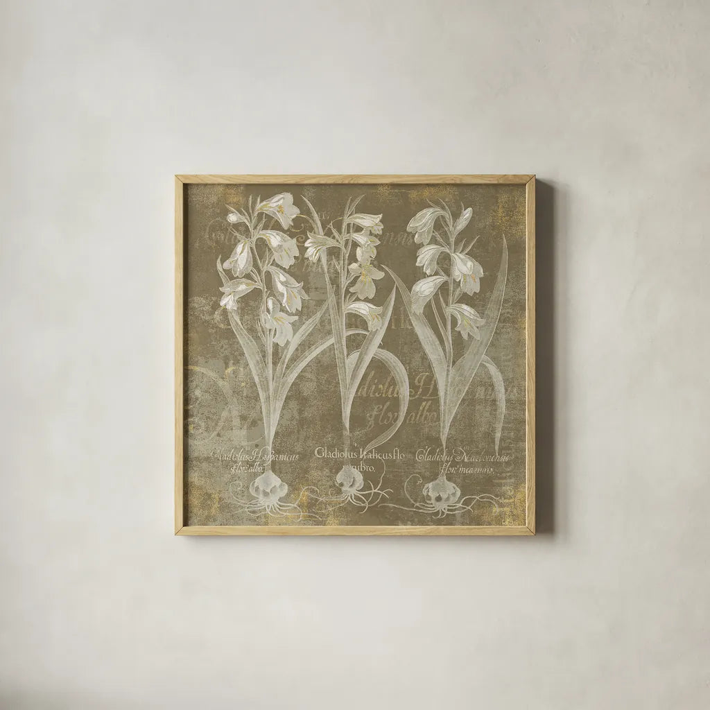 Flower Lines I by Sue Schlabach. Shown in a natural wood glass frame for a timeless modern aesthetic. Available as an archival giclee rolled canvas, fine art paper, or poster print. SKU 18974a.