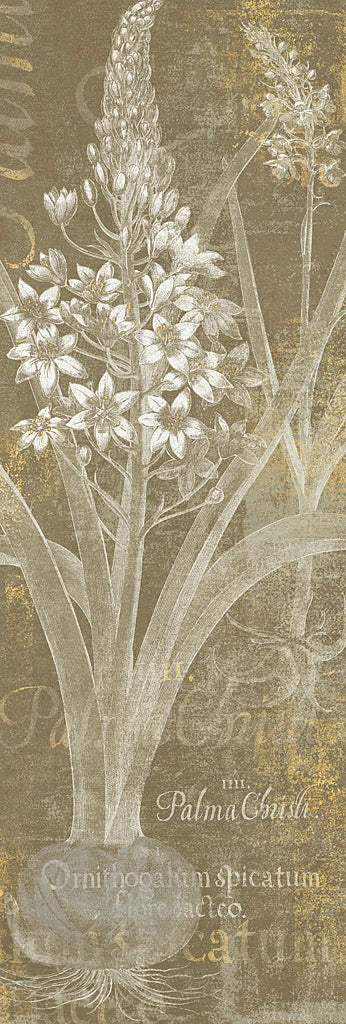 Flower Lines II by Sue Schlabach
