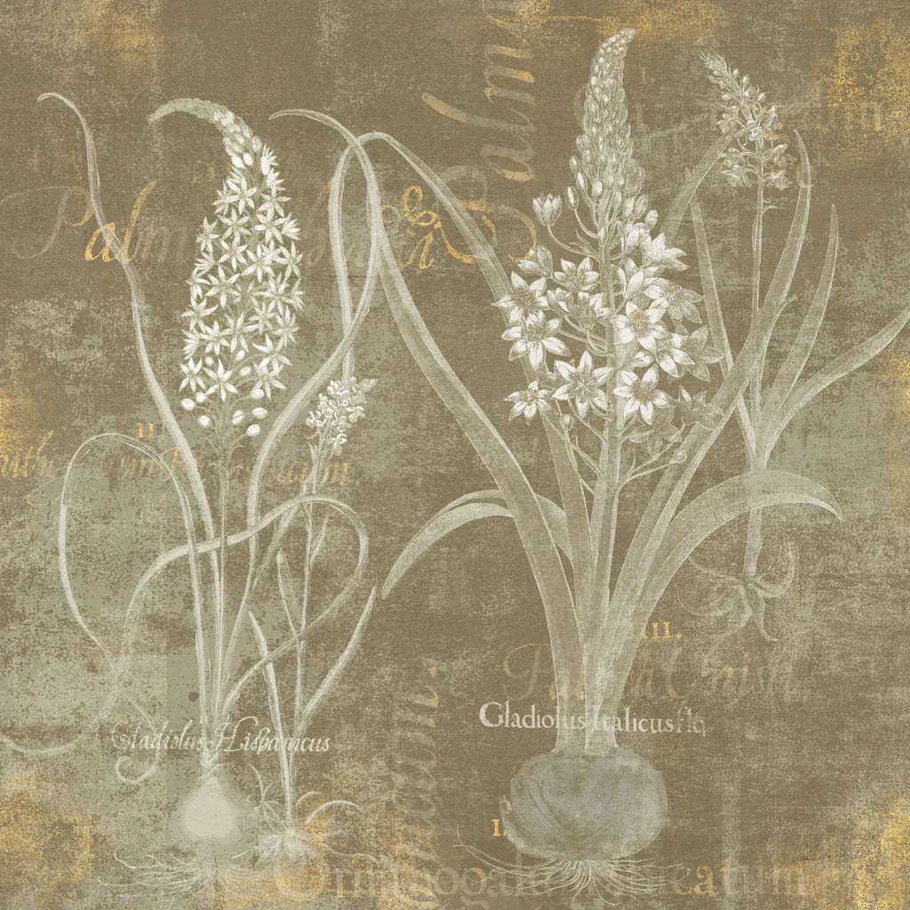Flower Lines IV by Sue Schlabach. SKU 85670a. Archival Giclee Fine art print for wall decor.