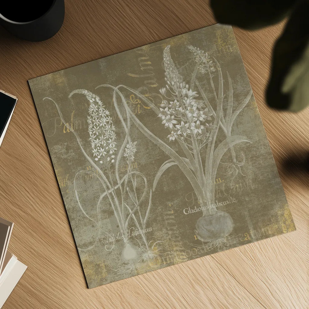 Flower Lines IV by Sue Schlabach. Shown as a detailed flat fine art print, highlighting archival giclee quality. Available as an archival giclee rolled canvas, fine art paper, or poster print. SKU 85670a.