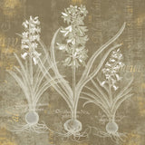 Flower Lines V by Sue Schlabach. SKU 85671a. Archival Giclee Fine art print for wall decor.