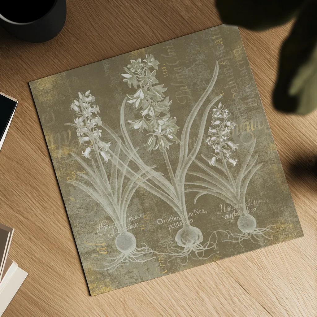 Flower Lines V by Sue Schlabach. Shown as a detailed flat fine art print, highlighting archival giclee quality. Available as an archival giclee rolled canvas, fine art paper, or poster print. SKU 85671a.