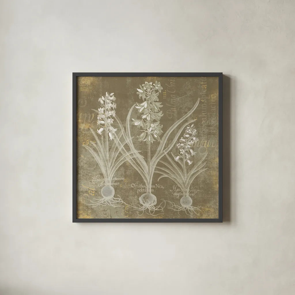 Flower Lines V by Sue Schlabach. Shown in a sleek black glass frame for a contemporary gallery look. Available as an archival giclee rolled canvas, fine art paper, or poster print. SKU 85671a.