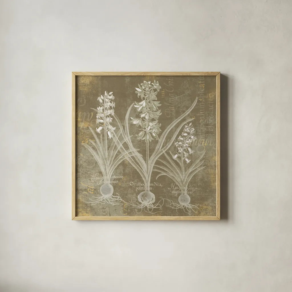 Flower Lines V by Sue Schlabach. Shown in a natural wood glass frame for a timeless modern aesthetic. Available as an archival giclee rolled canvas, fine art paper, or poster print. SKU 85671a.
