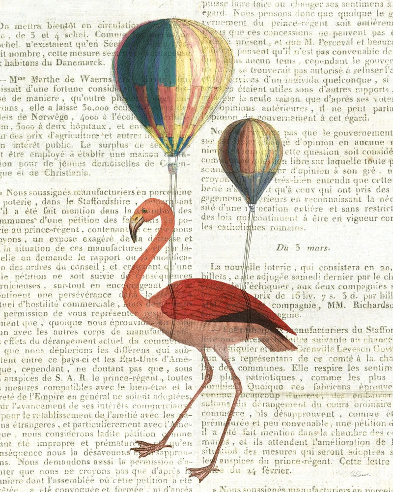 Flying Flamingo by Sue Schlabach