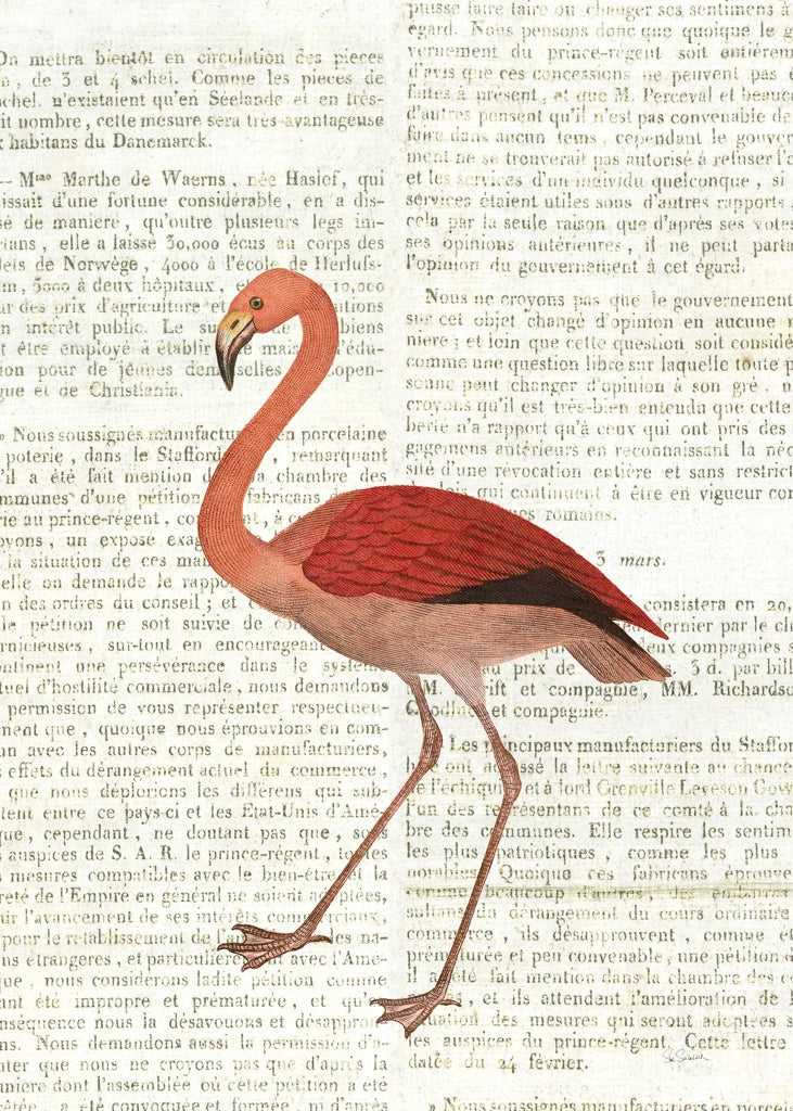 Flying Flamingo No Balloons by Sue Schlabach