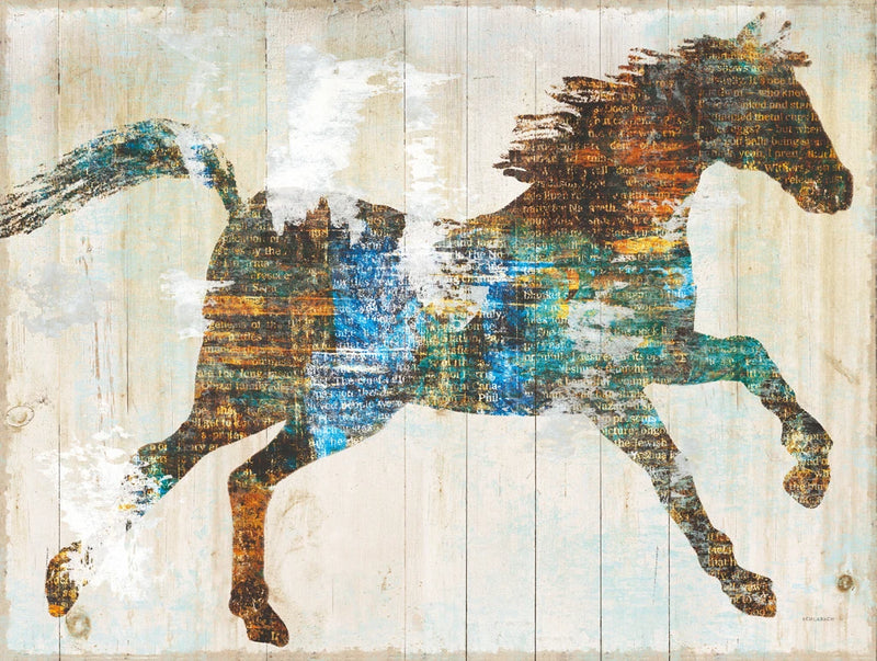 Free Spirit I Crop by Sue Schlabach