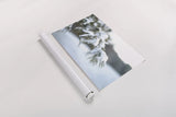 Frosted White Pine by Sue Schlabach. shown as a rolled paper print. Available as archival giclee rolled canvas, fine art paper, or poster print. SKU 60940i.