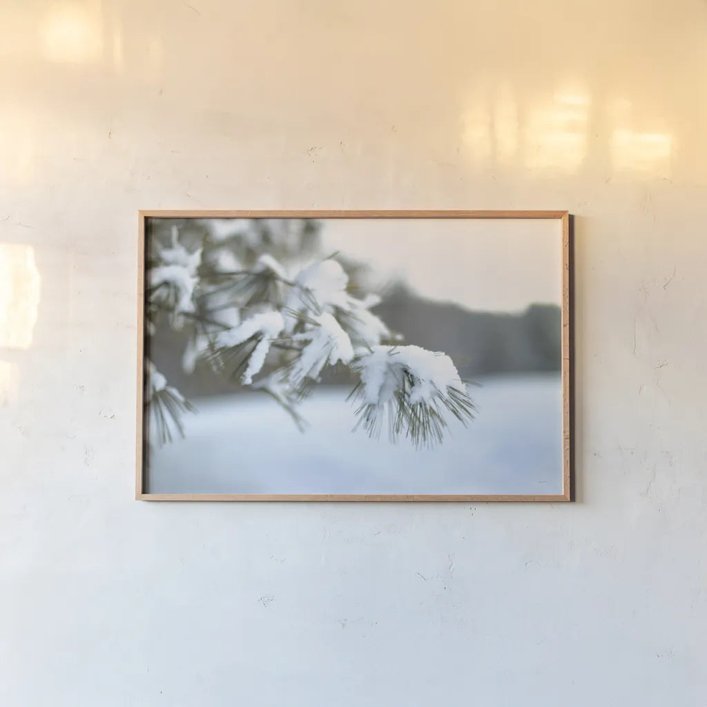 Frosted White Pine by Sue Schlabach. shown as a paper print in a natural frame. Available as a archival giclee rolled canvas, fine art paper, or poster print. SKU 60940i.