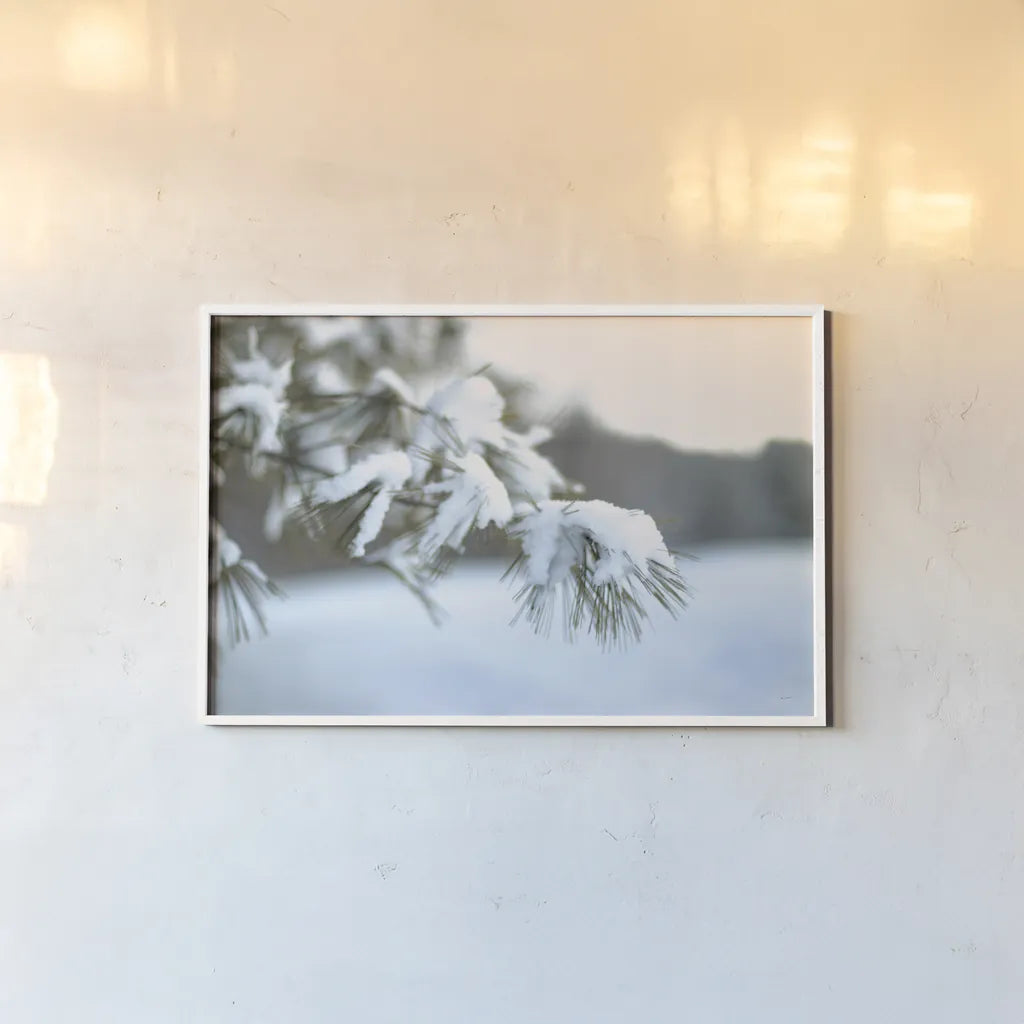Frosted White Pine by Sue Schlabach. shown as a paper print in a white frame. Available as a archival giclee rolled canvas, fine art paper, or poster print. SKU 60940i.