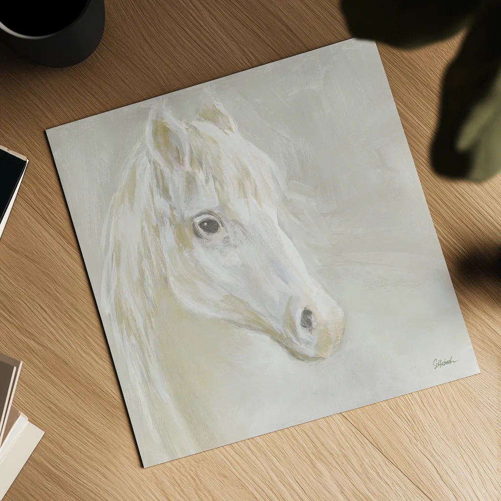 Gentle White Horse by Sue Schlabach. Shown as a detailed flat fine art print, highlighting archival giclee quality. Available as an archival giclee rolled canvas, fine art paper, or poster print. SKU 85032a.