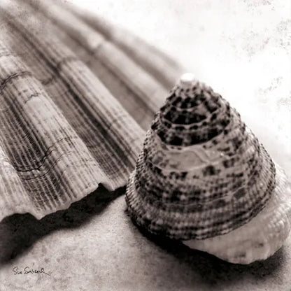 Gifts from the Sea Square by Sue Schlabach. SKU 5846a. Archival Giclee Fine art print for wall decor.