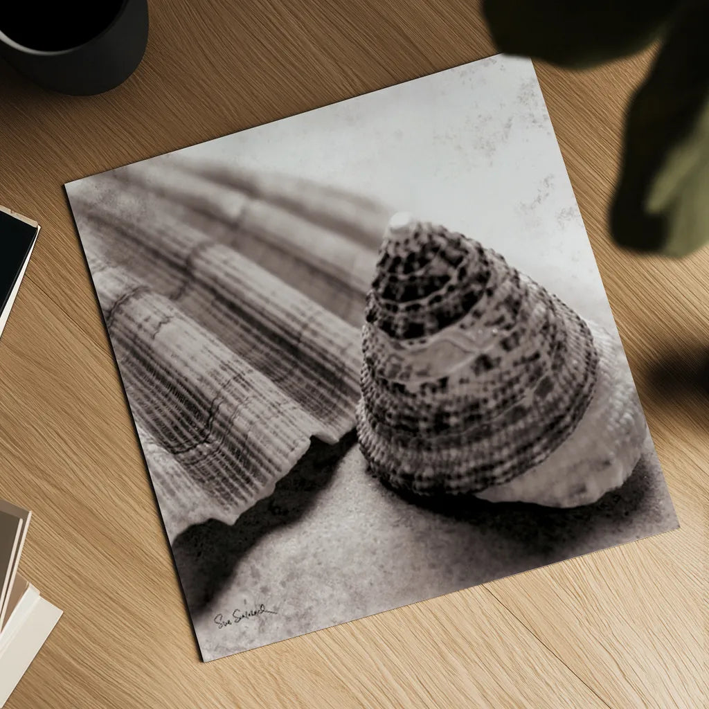 Gifts from the Sea Square by Sue Schlabach. Shown as a detailed flat fine art print, highlighting archival giclee quality. Available as an archival giclee rolled canvas, fine art paper, or poster print. SKU 5846a.