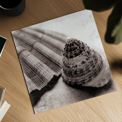 Gifts from the Sea Square by Sue Schlabach. Shown as a detailed flat fine art print, highlighting archival giclee quality. Available as an archival giclee rolled canvas, fine art paper, or poster print. SKU 5846a.