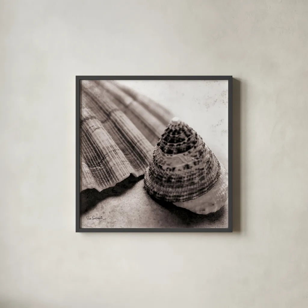 Gifts from the Sea Square by Sue Schlabach. Shown in a sleek black glass frame for a contemporary gallery look. Available as an archival giclee rolled canvas, fine art paper, or poster print. SKU 5846a.