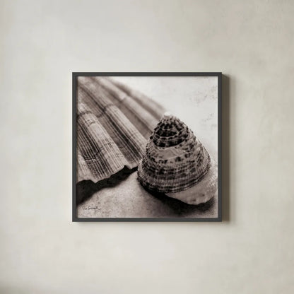 Gifts from the Sea Square by Sue Schlabach. Shown in a sleek black glass frame for a contemporary gallery look. Available as an archival giclee rolled canvas, fine art paper, or poster print. SKU 5846a.