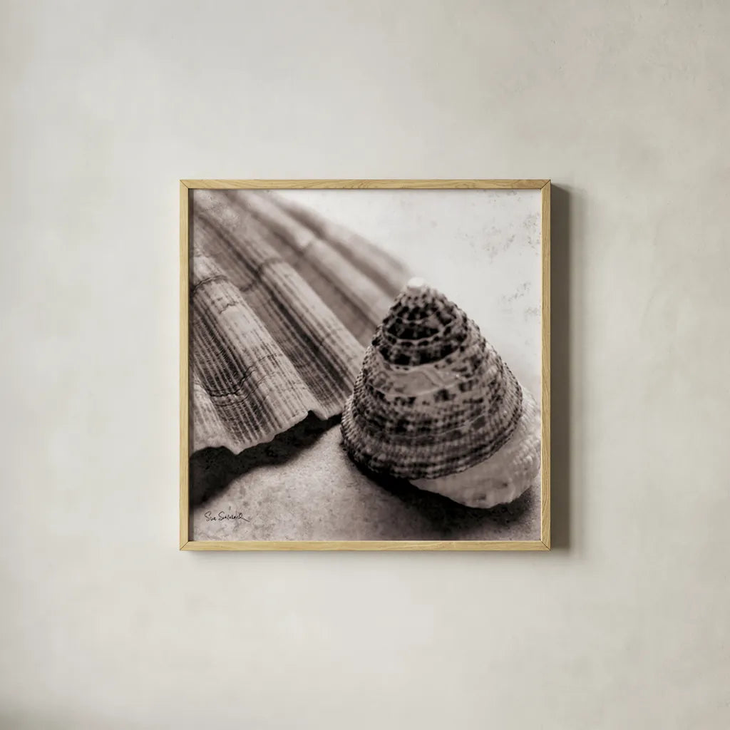 Gifts from the Sea Square by Sue Schlabach. Shown in a natural wood glass frame for a timeless modern aesthetic. Available as an archival giclee rolled canvas, fine art paper, or poster print. SKU 5846a.