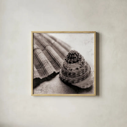 Gifts from the Sea Square by Sue Schlabach. Shown in a natural wood glass frame for a timeless modern aesthetic. Available as an archival giclee rolled canvas, fine art paper, or poster print. SKU 5846a.