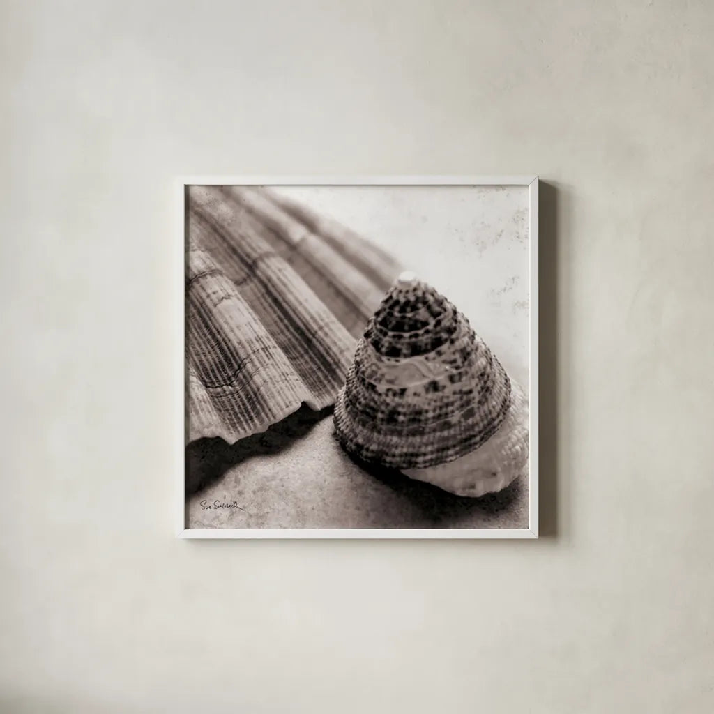 Gifts from the Sea Square by Sue Schlabach. Shown in a crisp white glass frame for a clean and minimalist style. Available as an archival giclee rolled canvas, fine art paper, or poster print. SKU 5846a.