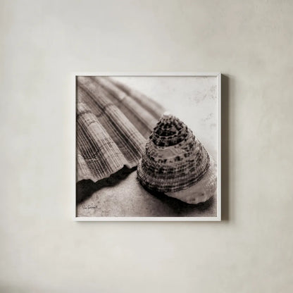 Gifts from the Sea Square by Sue Schlabach. Shown in a crisp white glass frame for a clean and minimalist style. Available as an archival giclee rolled canvas, fine art paper, or poster print. SKU 5846a.