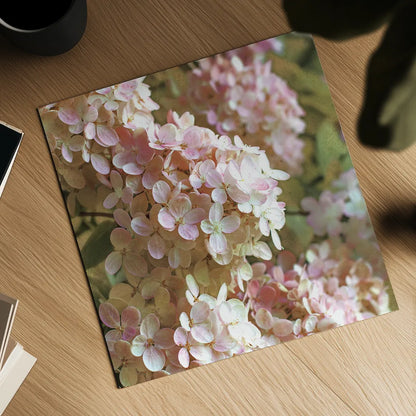 Gilded Hydrangea I Color by Sue Schlabach. Shown as a detailed flat fine art print, highlighting archival giclee quality. Available as an archival giclee rolled canvas, fine art paper, or poster print. SKU 34135a.