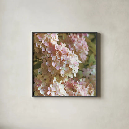 Gilded Hydrangea I Color by Sue Schlabach. Shown in a sleek black glass frame for a contemporary gallery look. Available as an archival giclee rolled canvas, fine art paper, or poster print. SKU 34135a.
