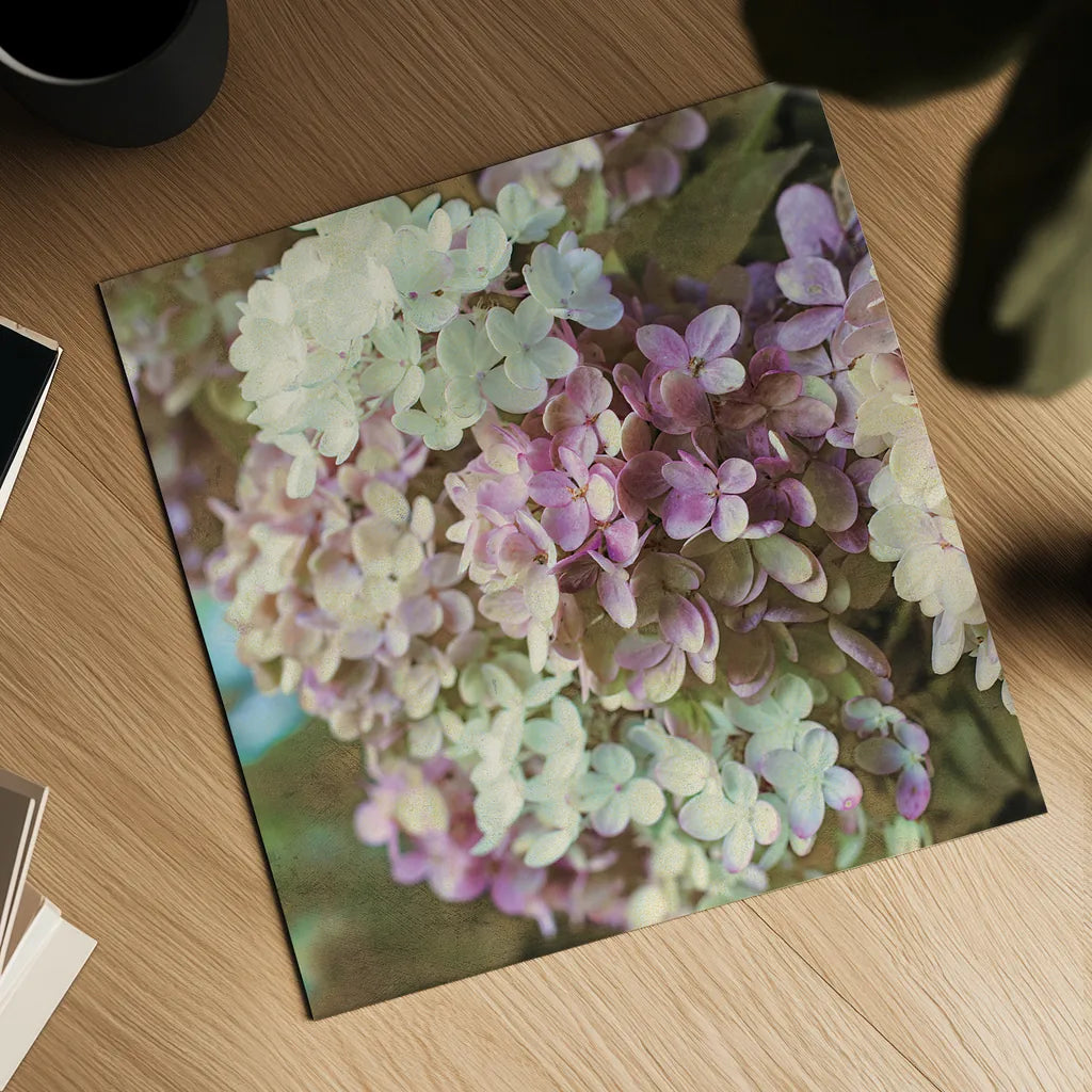 Gilded Hydrangea II Color by Sue Schlabach. Shown as a detailed flat fine art print, highlighting archival giclee quality. Available as an archival giclee rolled canvas, fine art paper, or poster print. SKU 34136a.