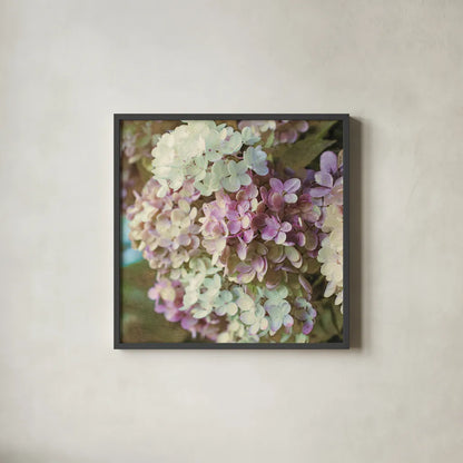 Gilded Hydrangea II Color by Sue Schlabach. Shown in a sleek black glass frame for a contemporary gallery look. Available as an archival giclee rolled canvas, fine art paper, or poster print. SKU 34136a.