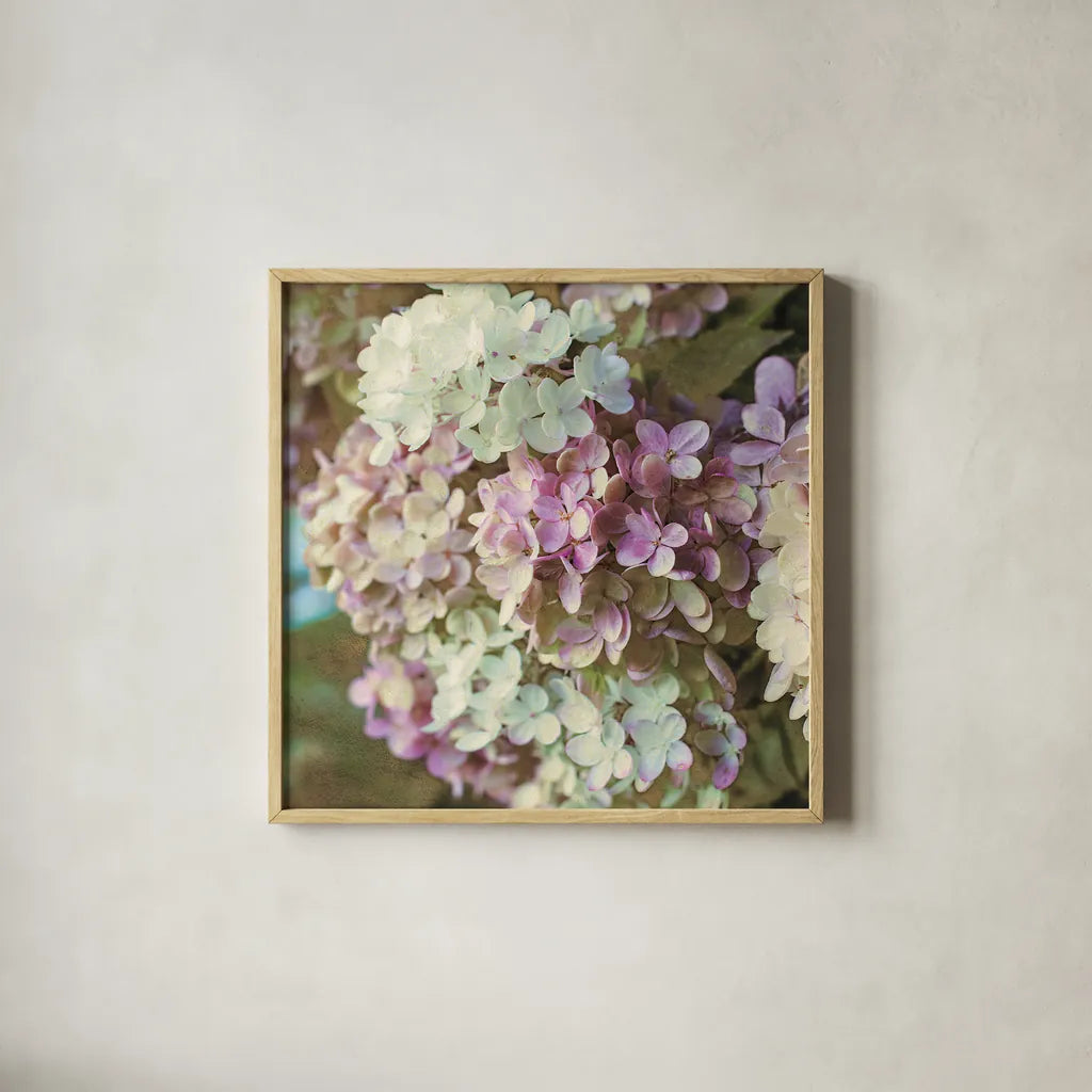 Gilded Hydrangea II Color by Sue Schlabach. Shown in a natural wood glass frame for a timeless modern aesthetic. Available as an archival giclee rolled canvas, fine art paper, or poster print. SKU 34136a.