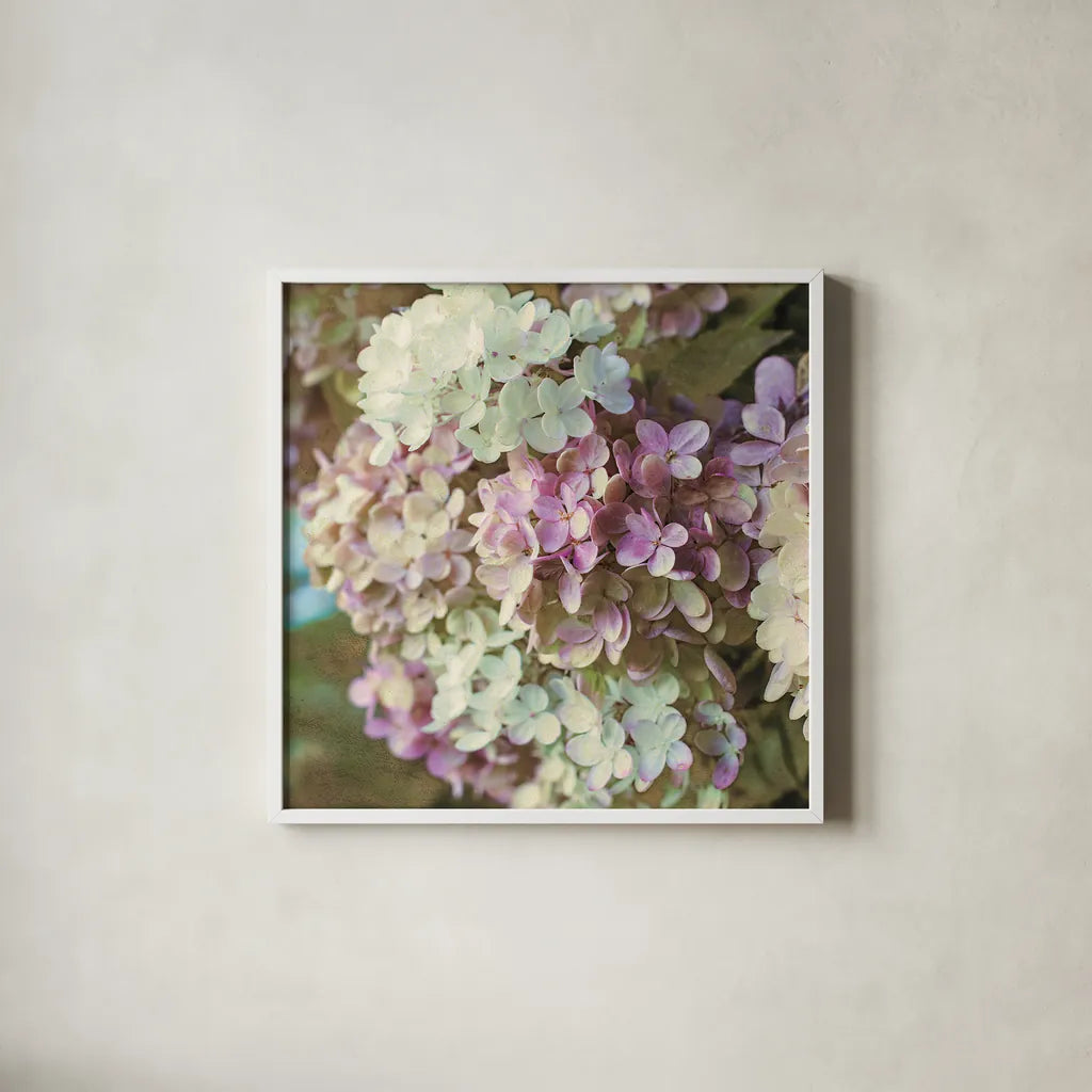 Gilded Hydrangea II Color by Sue Schlabach. Shown in a crisp white glass frame for a clean and minimalist style. Available as an archival giclee rolled canvas, fine art paper, or poster print. SKU 34136a.