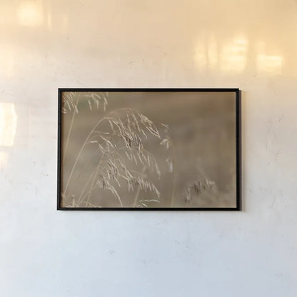Golden Grasses I by Sue Schlabach. shown as a paper print in a black flame. Available as a archival giclee rolled canvas, fine art paper, or poster print. SKU 82863i.