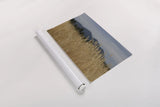 Golden Grasses II by Sue Schlabach. shown as a rolled paper print. Available as archival giclee rolled canvas, fine art paper, or poster print. SKU 82864i.