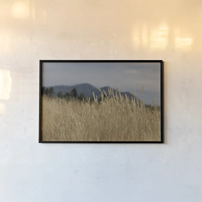 Golden Grasses II by Sue Schlabach. shown as a paper print in a black flame. Available as a archival giclee rolled canvas, fine art paper, or poster print. SKU 82864i.