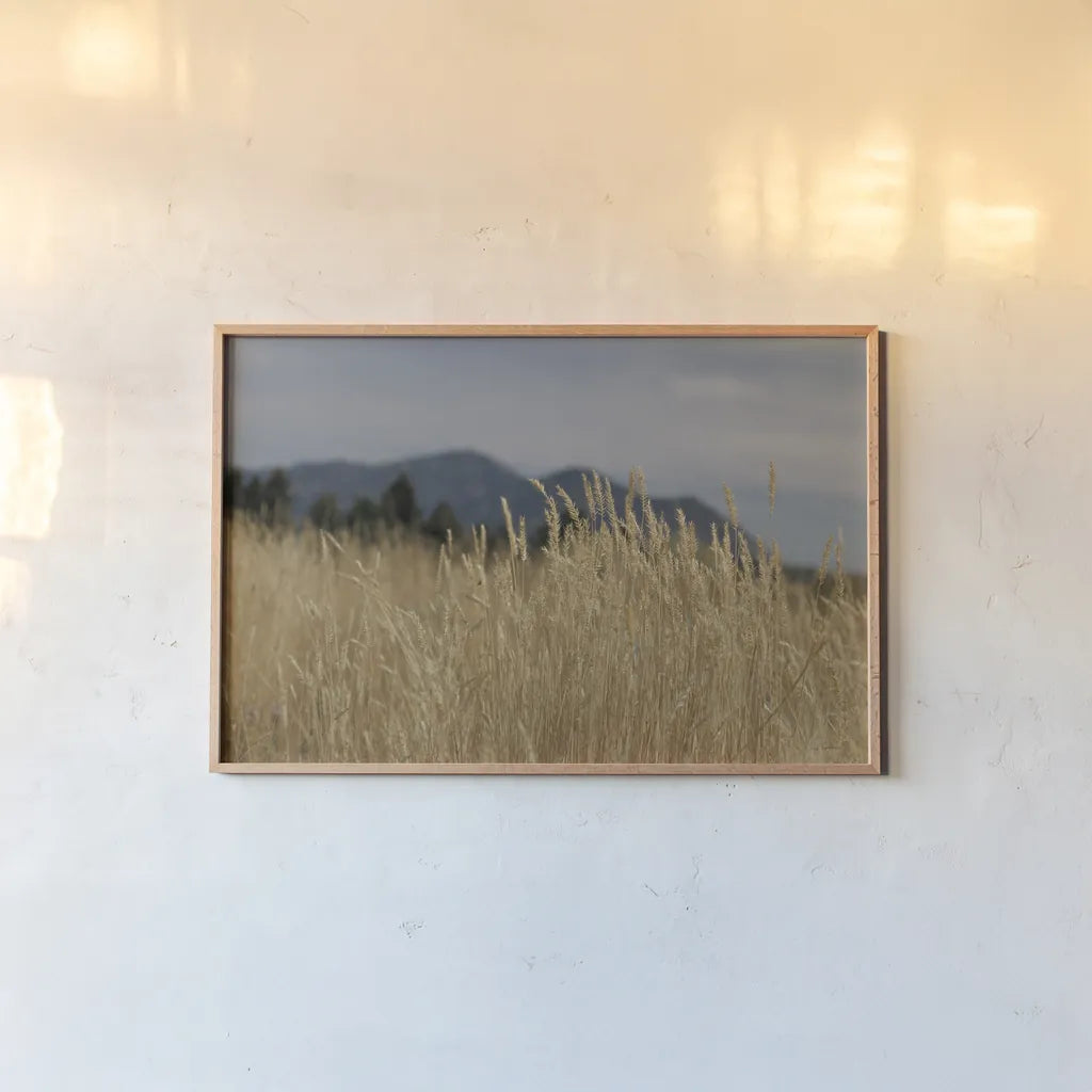 Golden Grasses II by Sue Schlabach. shown as a paper print in a natural frame. Available as a archival giclee rolled canvas, fine art paper, or poster print. SKU 82864i.