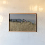 Golden Grasses II by Sue Schlabach. shown as a paper print in a natural frame. Available as a archival giclee rolled canvas, fine art paper, or poster print. SKU 82864i.