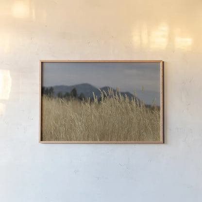 Golden Grasses II by Sue Schlabach. shown as a paper print in a natural frame. Available as a archival giclee rolled canvas, fine art paper, or poster print. SKU 82864i.