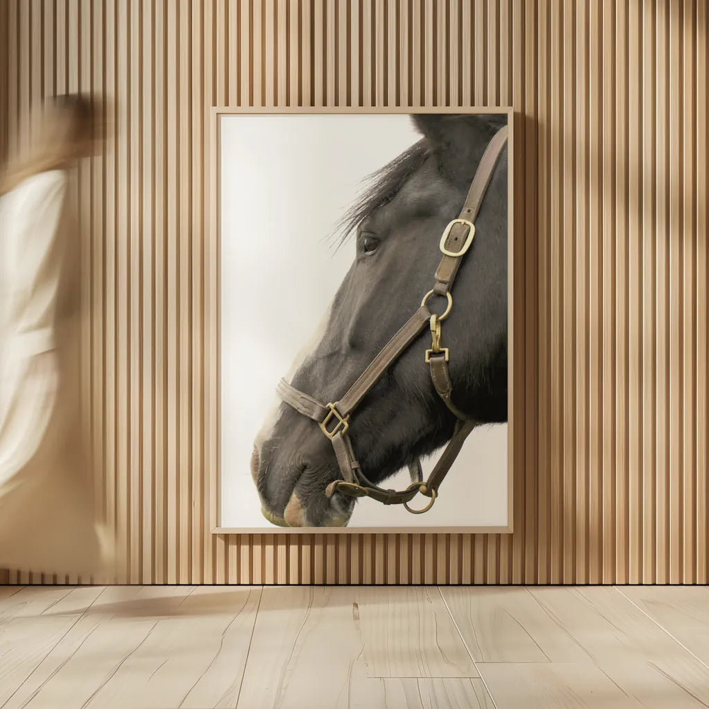 In Halter by Sue Schlabach. shown as over sized large wall art. Available as an archival giclee rolled canvas, fine art paper, or poster print. SKU 58271h.